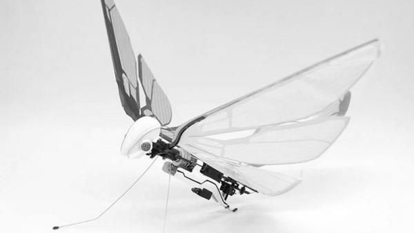 Биомиметический робот-насекомое позволяет вам испытать полет, как никогда раньше